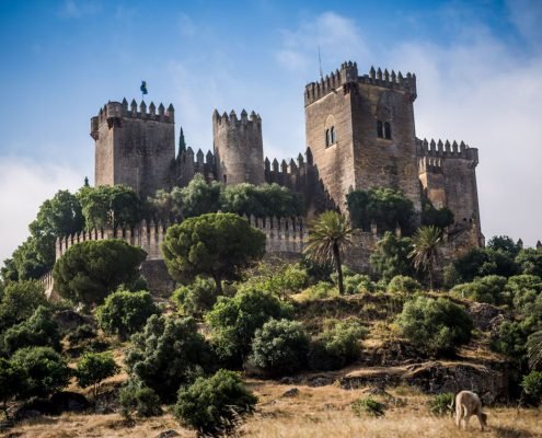 La conquista del castillo