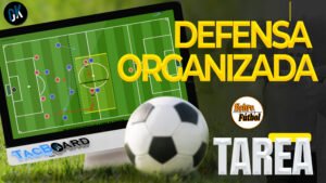 001 defensa organizada